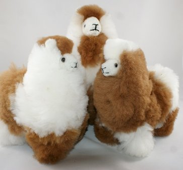 Alpaca stuffed animal multi color