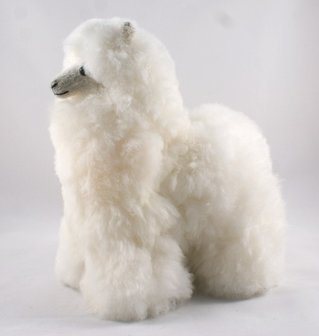 Alpaca stuffed animal white