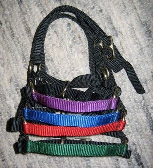 alpaca halter with colored nose band (set of 4)