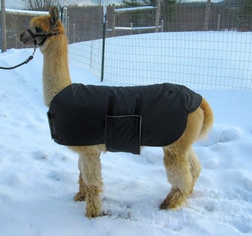 Alpaca jacket Adult medium weight