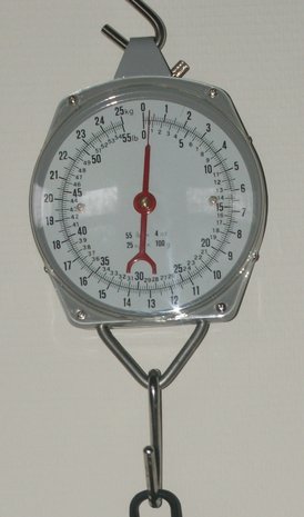 Hand weigh scale