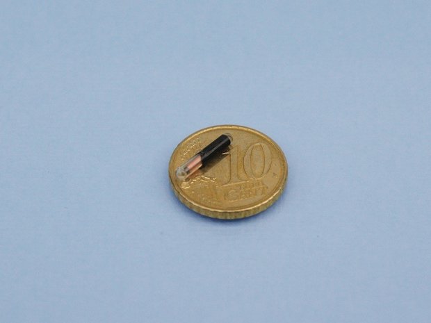 electronical chip
