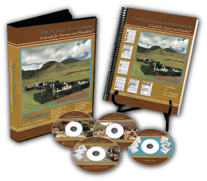 Alpaca Evaluation Handbook