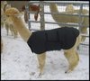 Alpaca-jacket-Adult-small-medium-weight