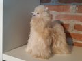 Alpaca-stuffed-animal-beige