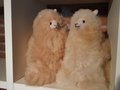 Alpaca-stuffed-animal-light-fawn